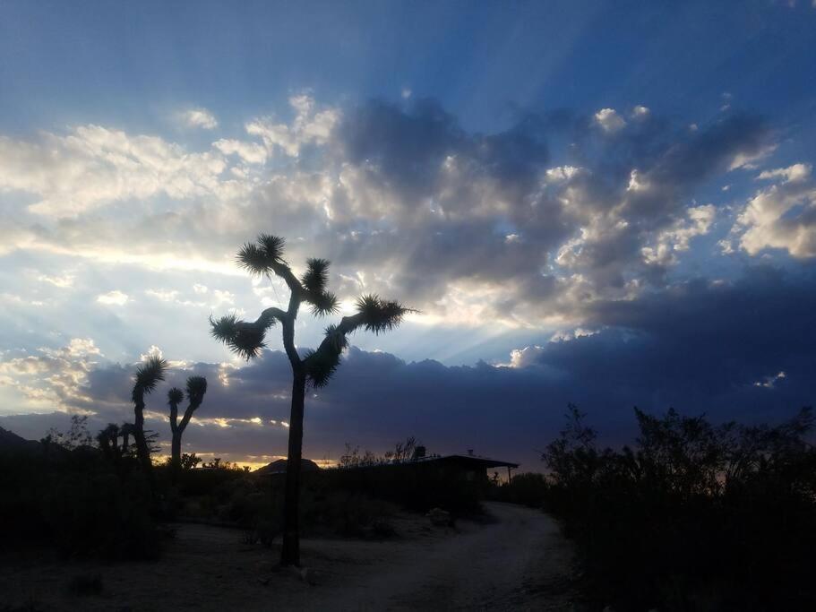 Steph'S Panorama Paradise-Nat'L Park Minutes Away Joshua Tree Luaran gambar