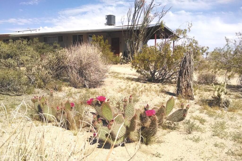 Steph'S Panorama Paradise-Nat'L Park Minutes Away Joshua Tree Luaran gambar